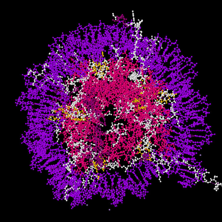 Das Nucleosom 1AOI aus der Protein Data Bank